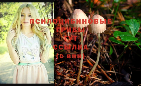гидропоника Богородицк