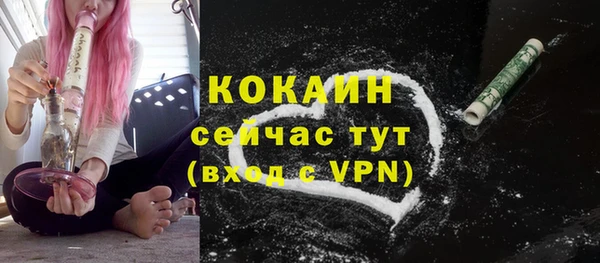 apvp Белокуриха