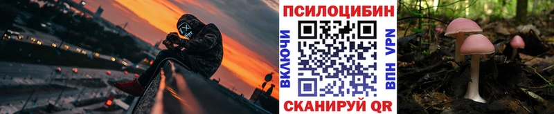блэк спрут рабочий сайт Межгорье Галлюциногенные грибы мицелий купить закладку